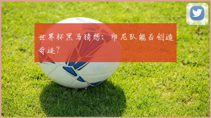 世界杯黑马猜想：印尼队能否创造奇迹？