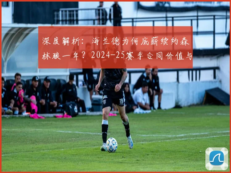 深度解析：海兰德为何底薪续约森林狼一年？2024-25赛季合同价值与球队考量
